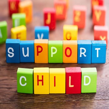 child support attorney Joliet Illinois